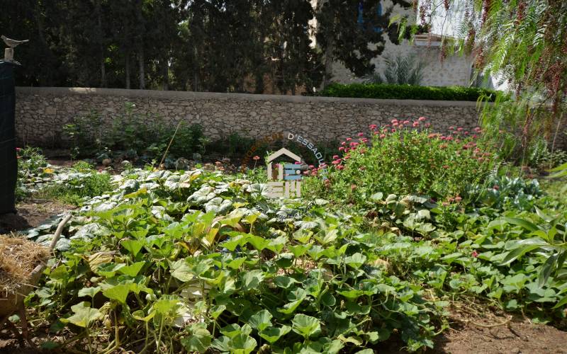 Maison 2 ch LLD - Bouzama (4)